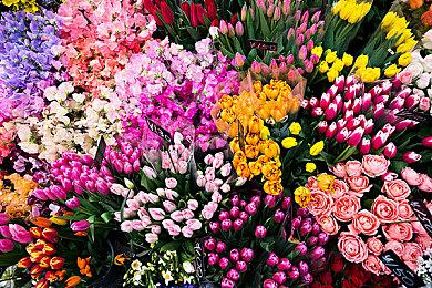 《碧蓝幻想：Relink》1.3.0更新档发布 新角色加入