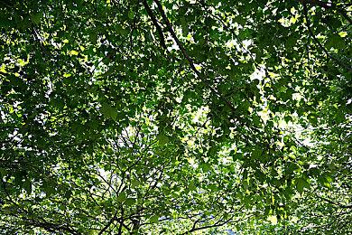 Insomniac回应泄露：《漫威金刚狼》继续按计划进行